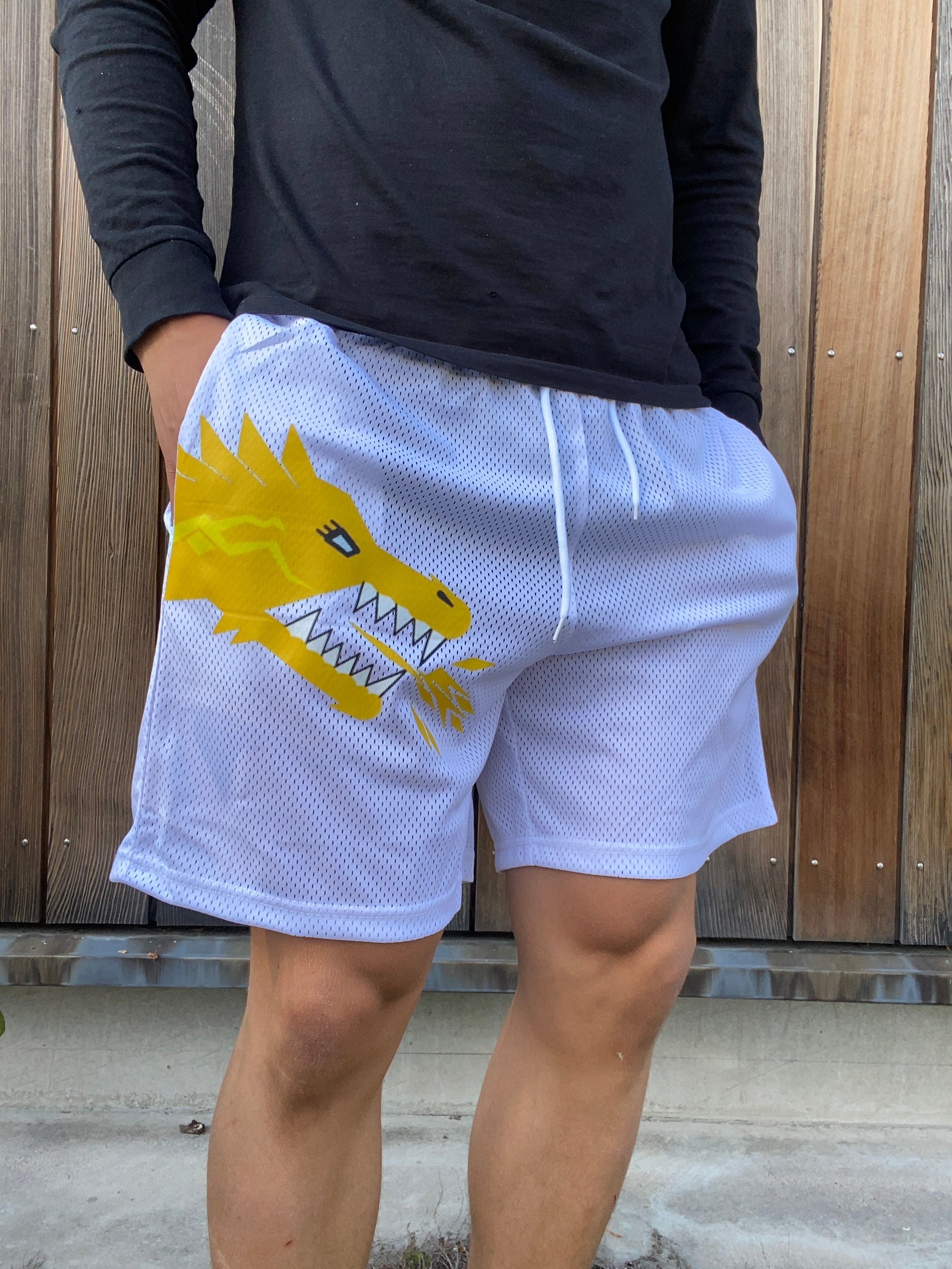 TRUE POTENTIAL "Ice" Shorts