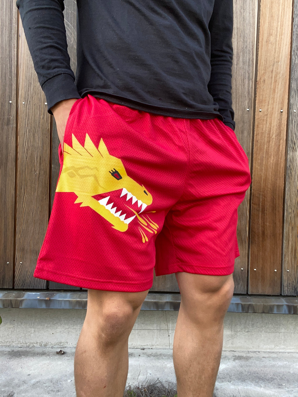 TRUE POTENTIAL "Fire" Shorts