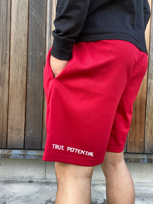TRUE POTENTIAL "Fire" Shorts
