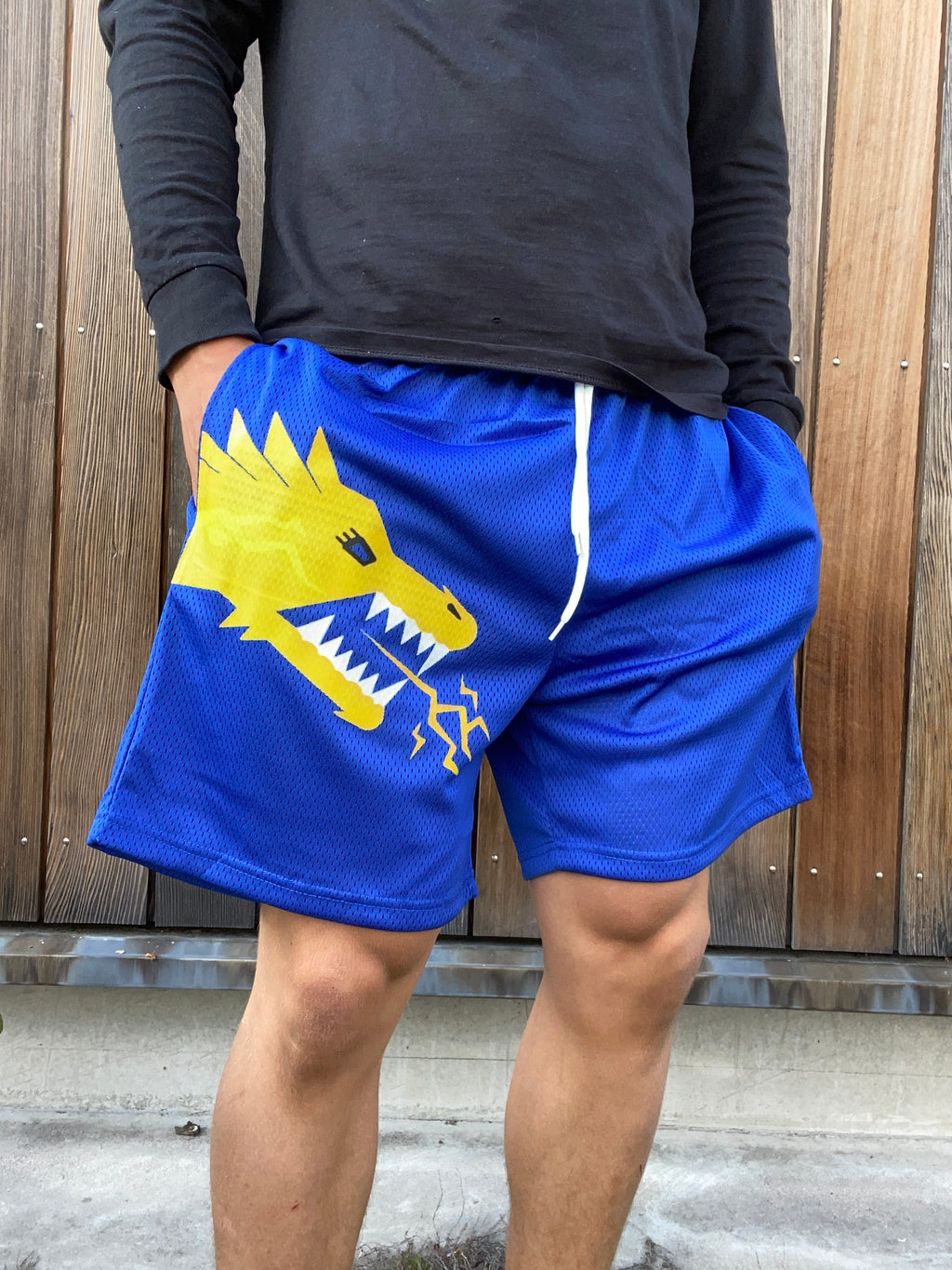 TRUE POTENTIAL "Lightning" Shorts