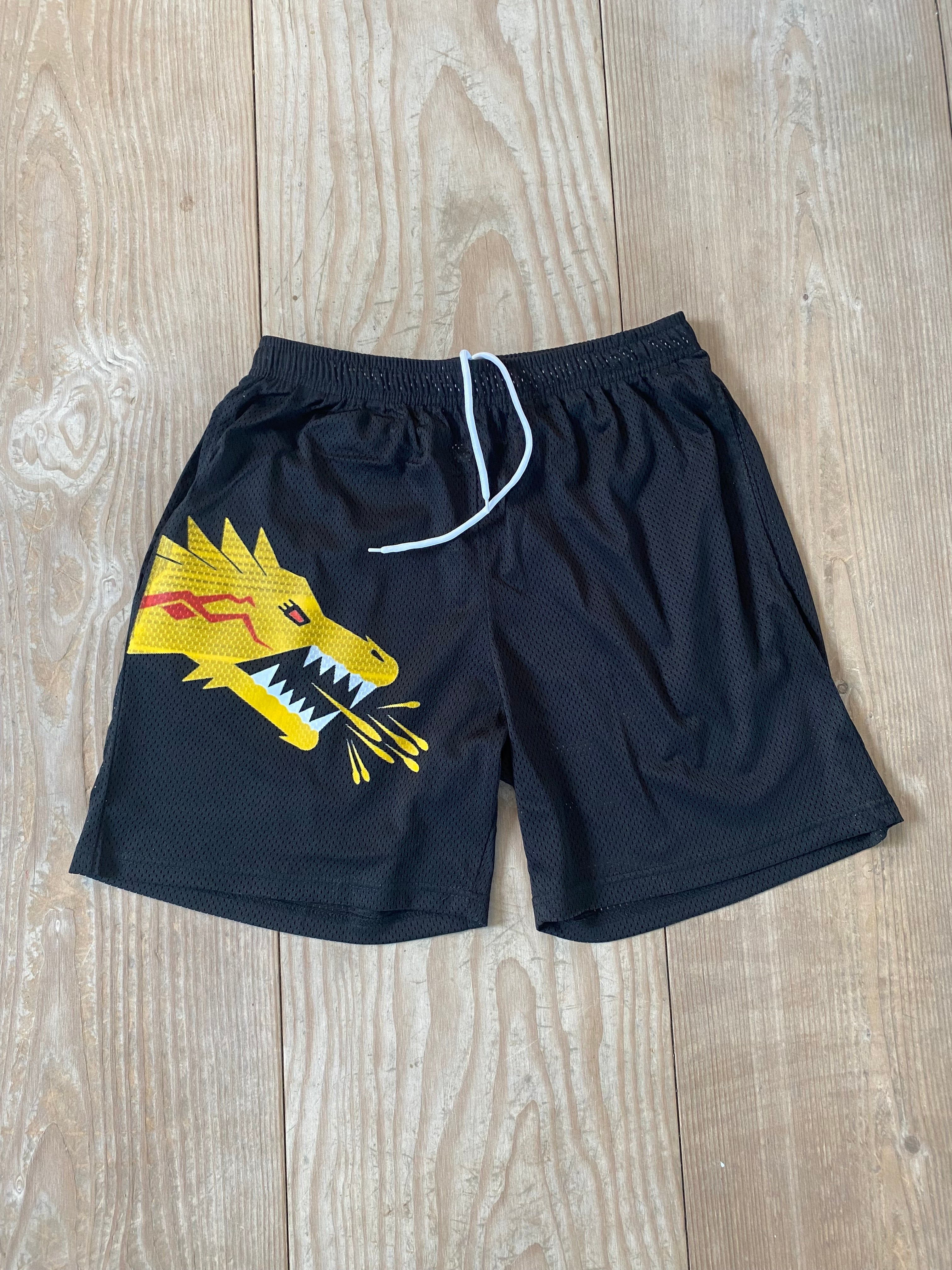 TRUE POTENTIAL "Earth" Shorts