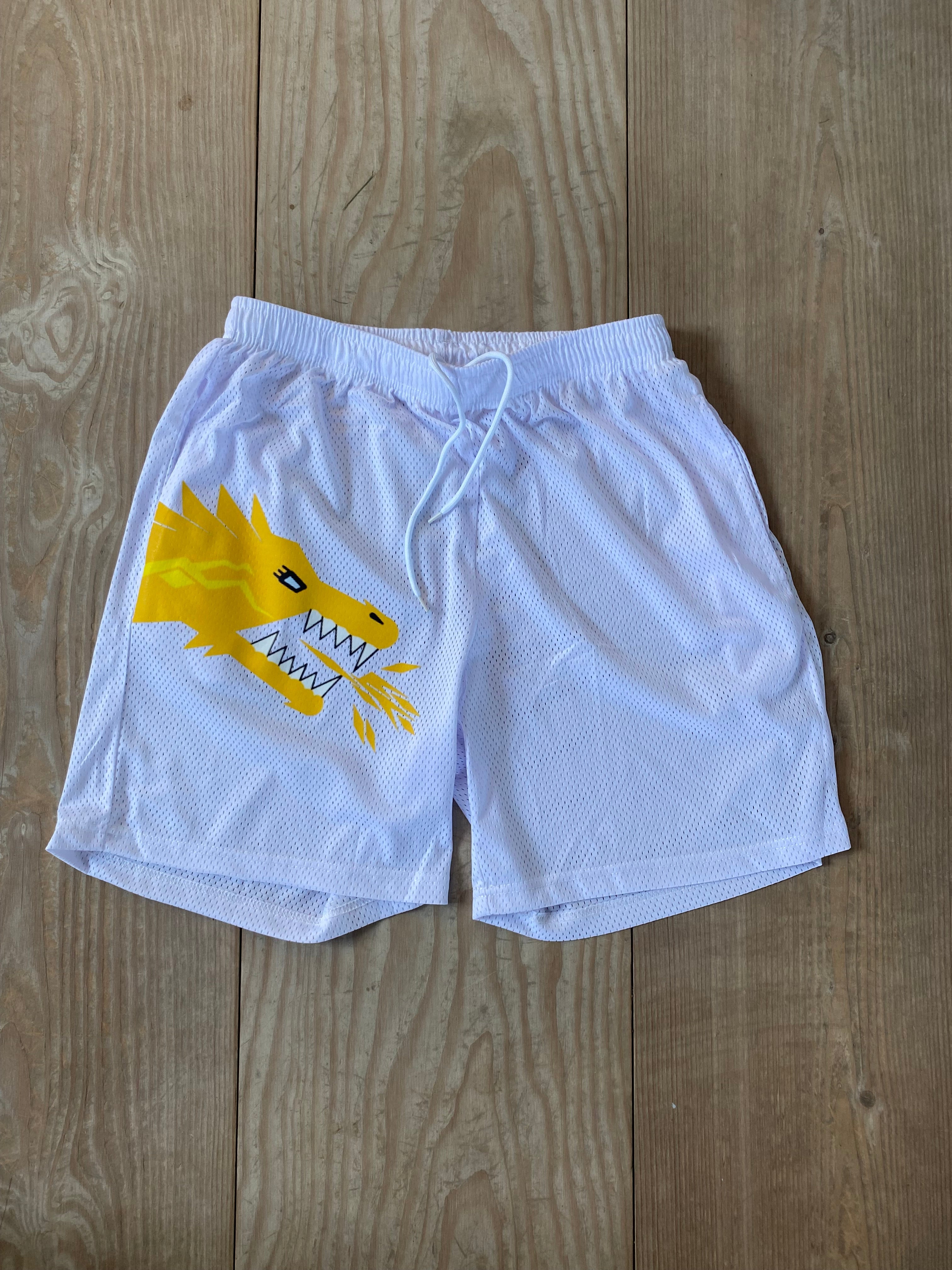 TRUE POTENTIAL "Ice" Shorts