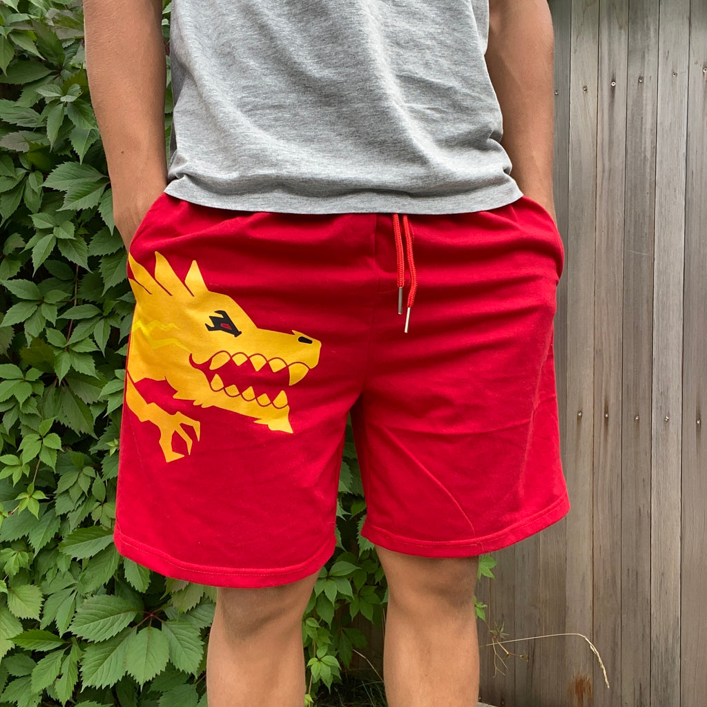Dragon "Fire" Shorts