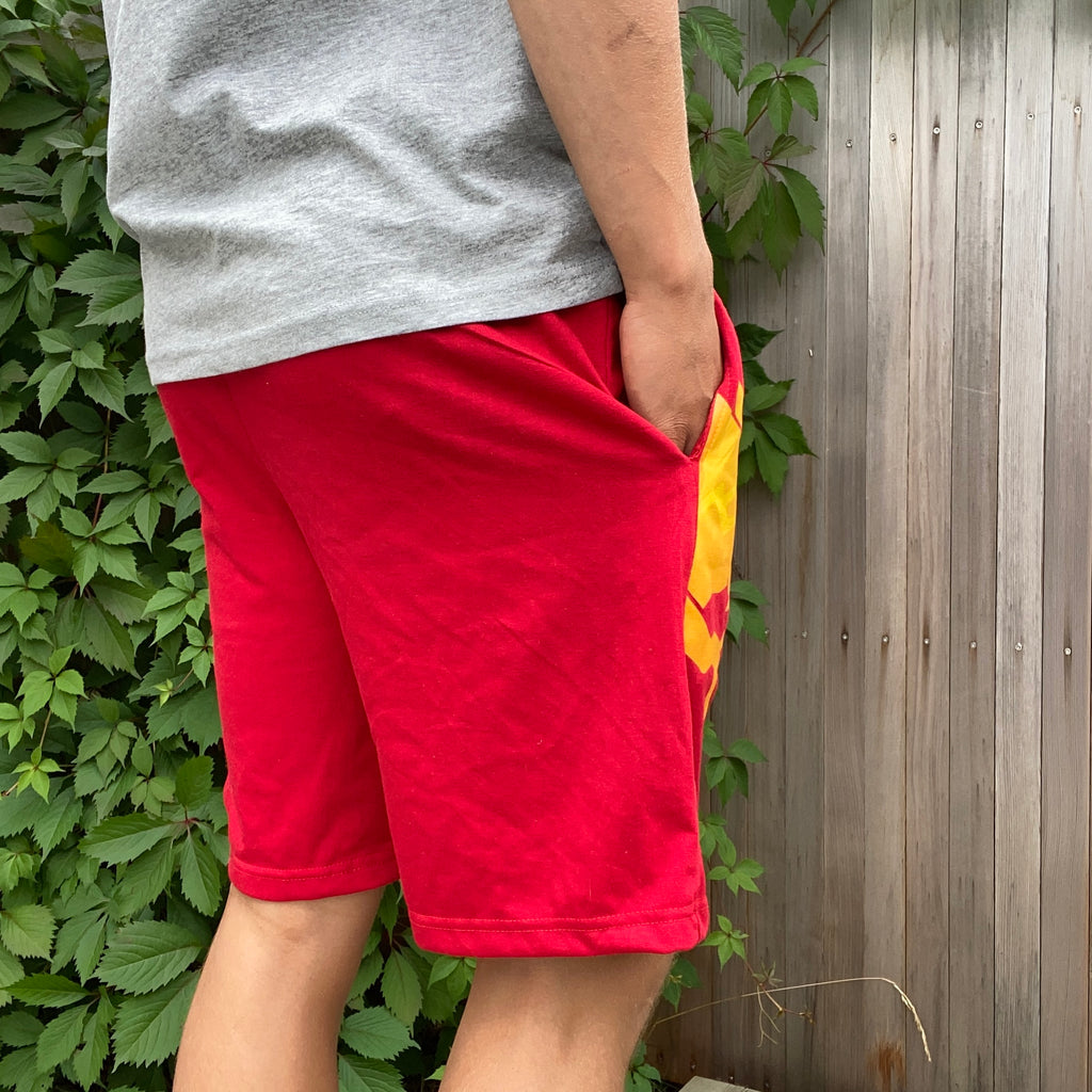 Dragon "Fire" Shorts