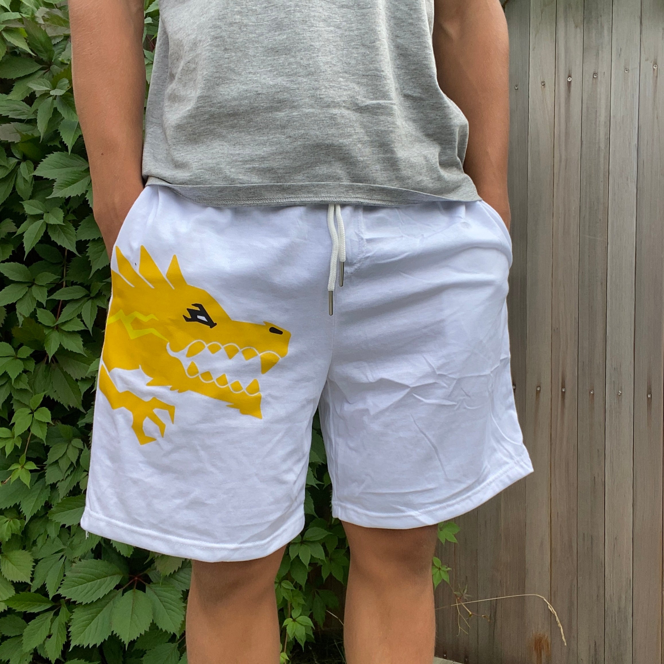 Dragon "Ice" Shorts
