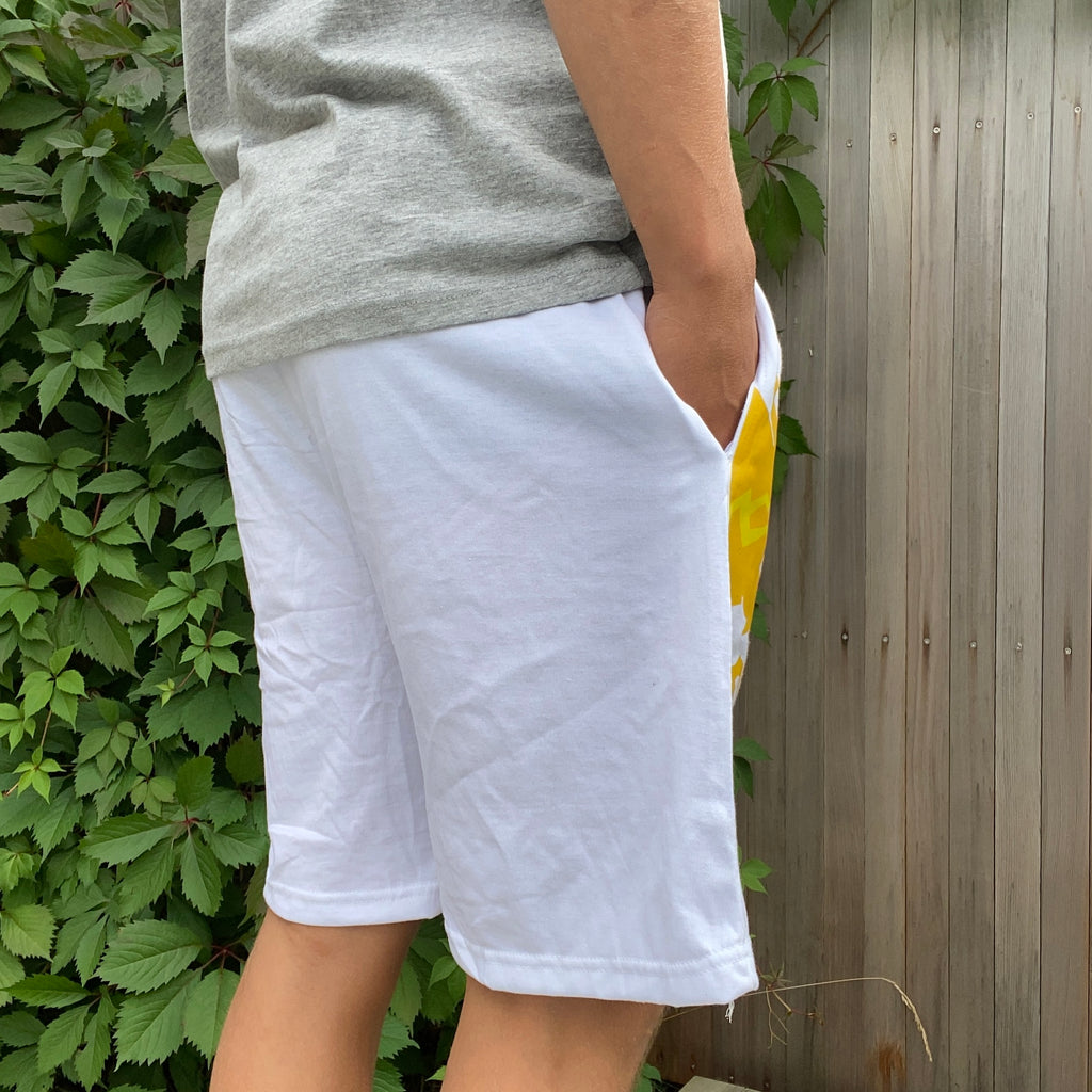 Dragon "Ice" Shorts