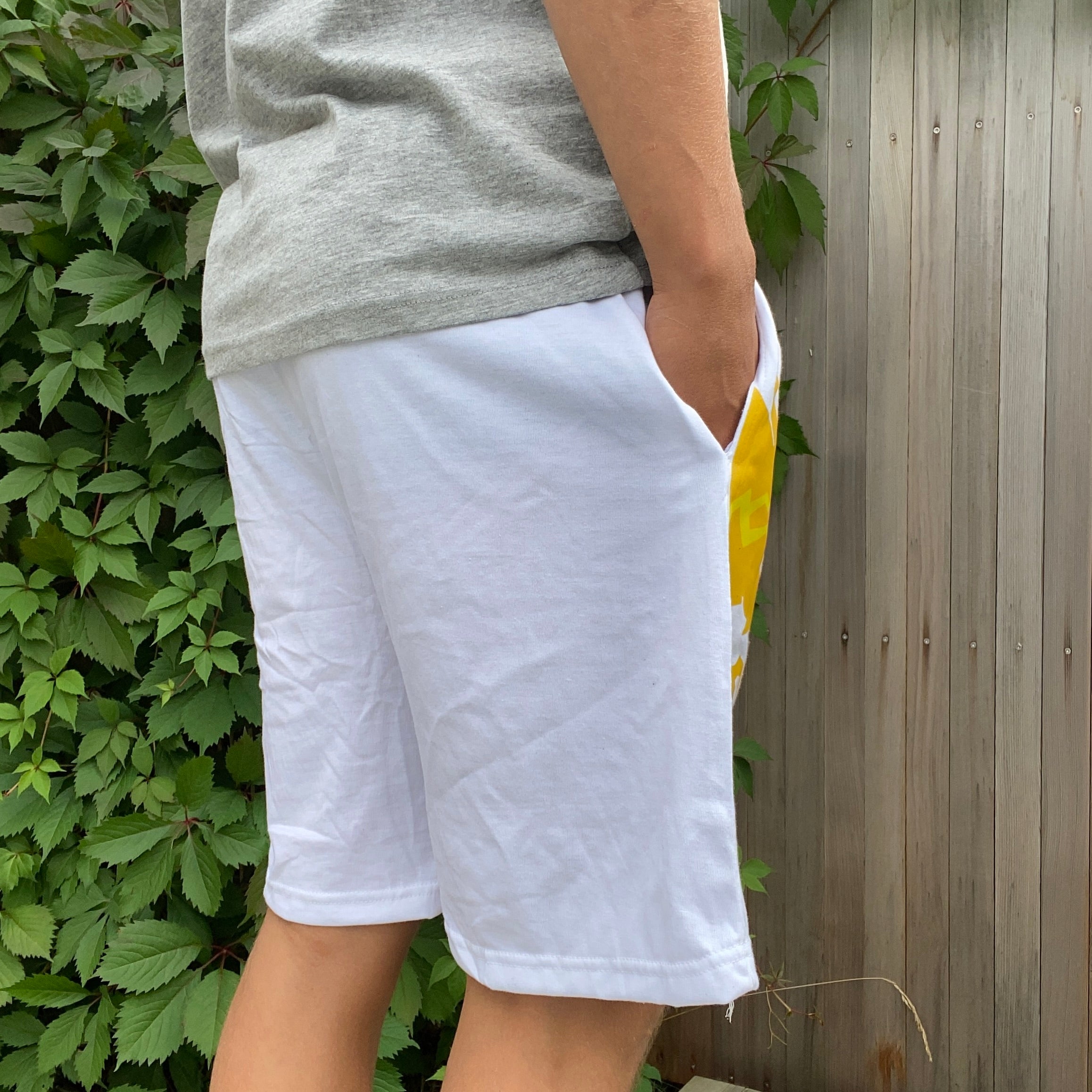 Dragon "Ice" Shorts