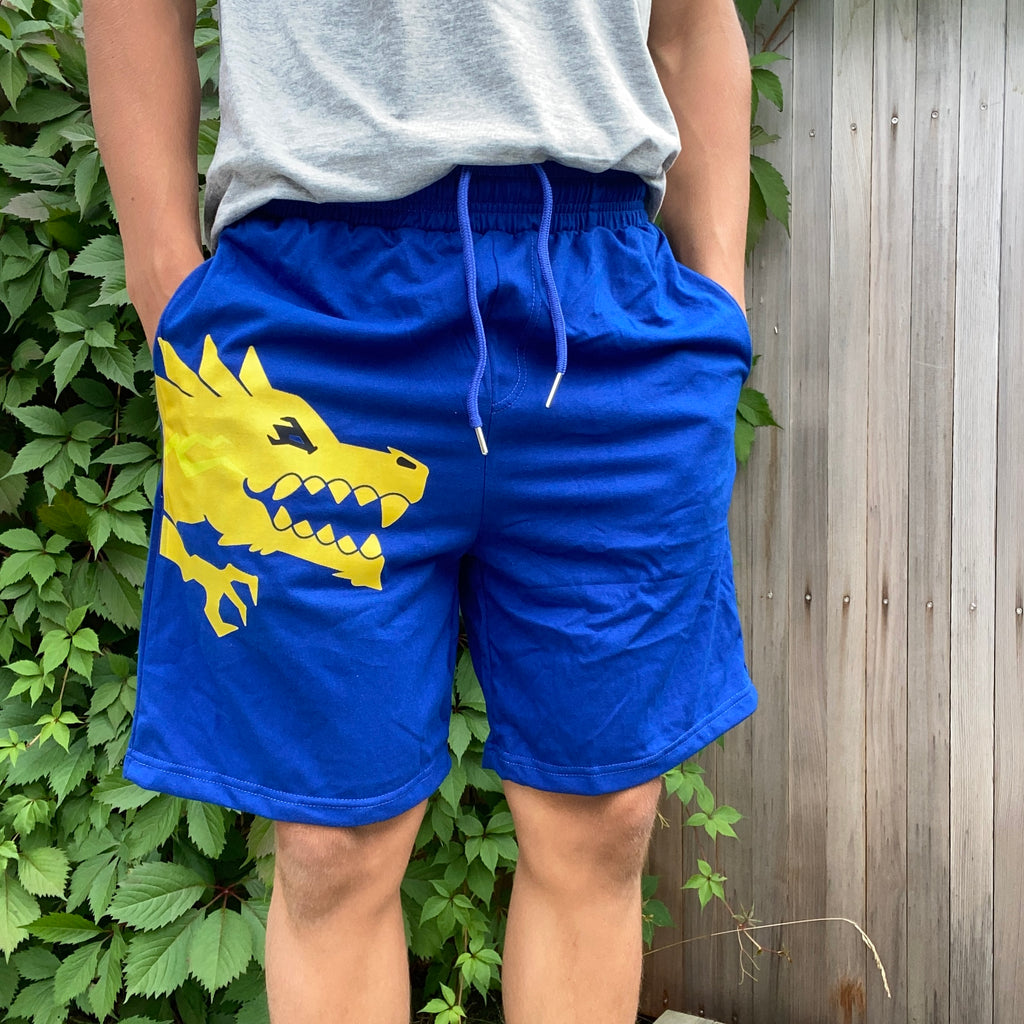 Dragon "Lightning" Shorts