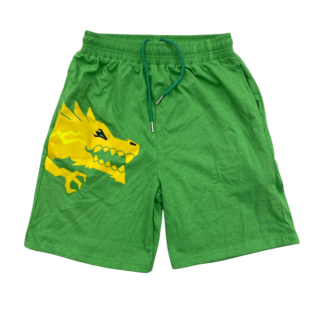 Dragon "Energy" Shorts