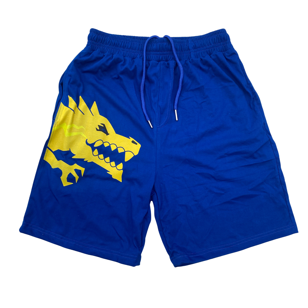 Dragon "Lightning" Shorts
